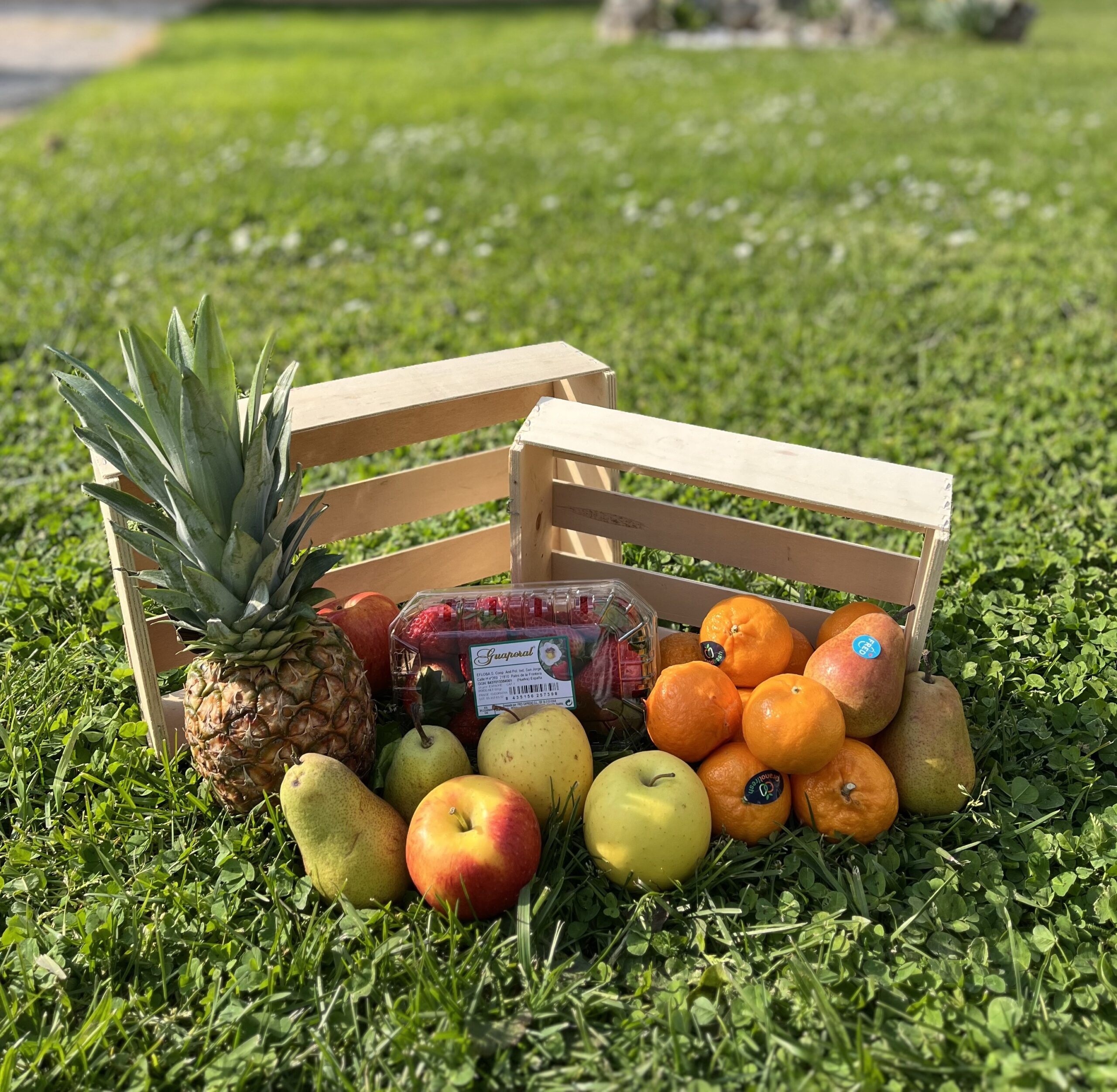 Le panier Fruits du moment