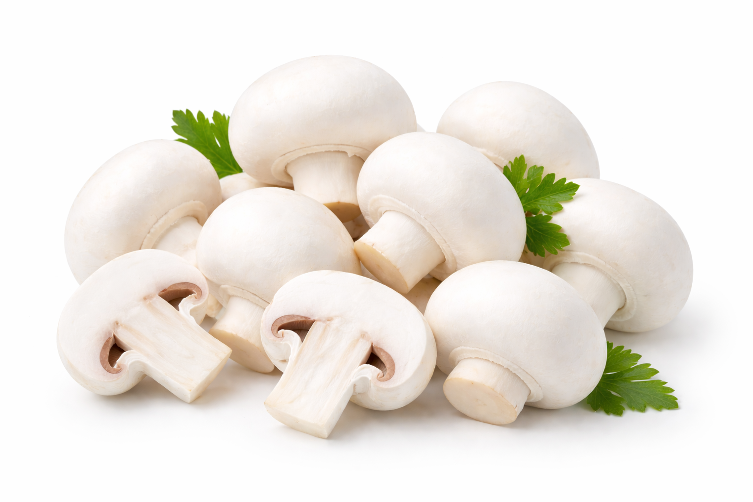 Champignon de Paris
