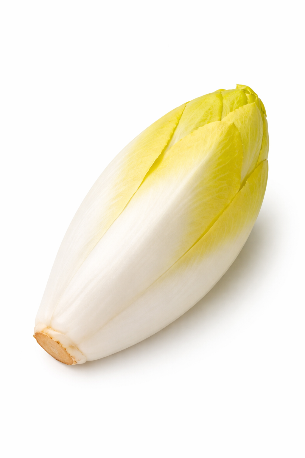 Endive