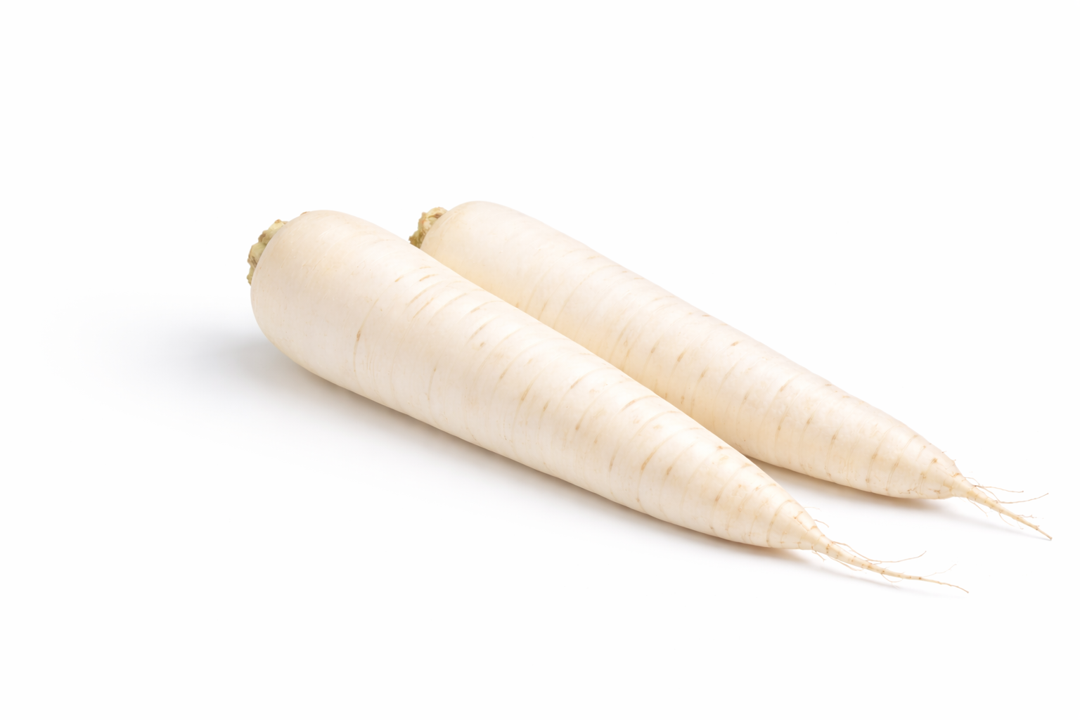 Navet blanc