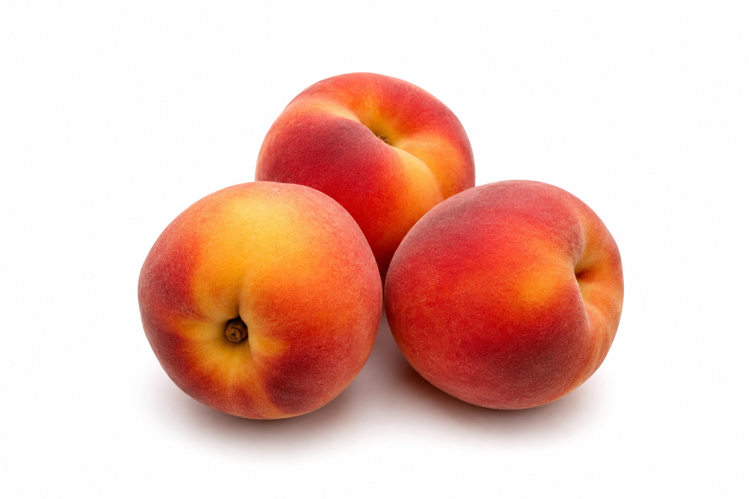 Pêche