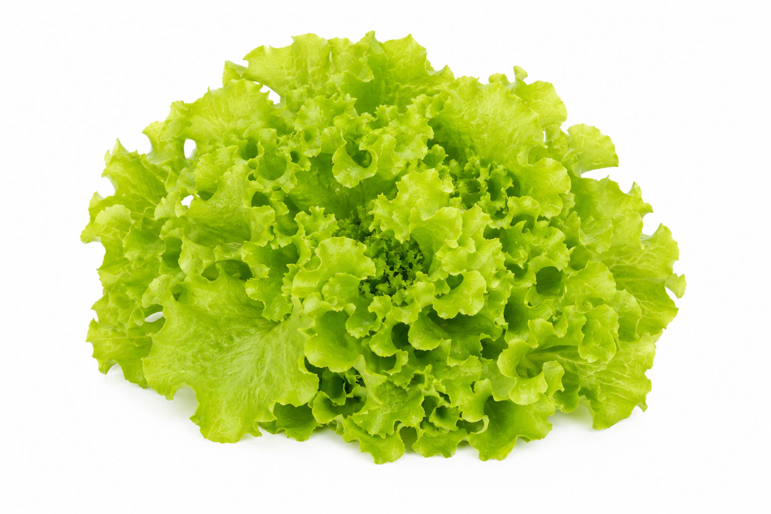 Salade Locale HVE