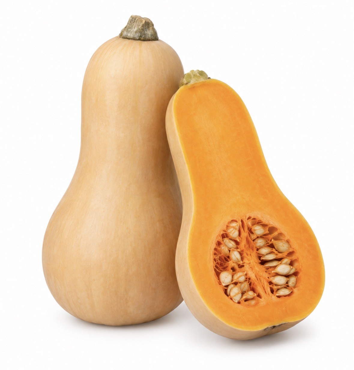 Butternut